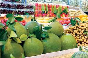 （示意圖源：成華） 