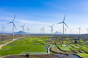 減少傳統發電量　激發可再生能源