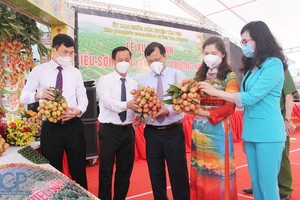 與會代表參觀北江省新安縣荔枝陳列攤位。（圖源：北江新聞網）