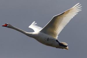 （示意圖源：互聯網） 