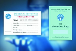 通過國家保險數據庫，個人可查詢許多關於其社保、醫保權利的資訊。