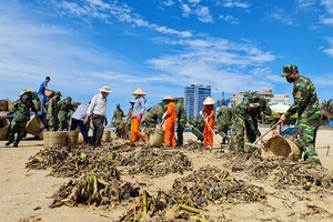 頭頓市海岸打撈逾 100 噸垃圾