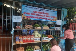 新富郡新貴坊在17號巷子建立零元超市。