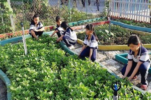 范雄學校少先隊隊員在打理「幫助同學的菜園」。