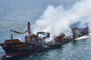 斯里蘭卡起火貨輪所載的膠粒沖到附近的海灘。（圖源：互聯網）