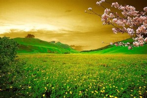 （示意圖源：互聯網） 