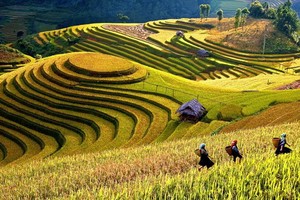 （示意圖源：互聯網） 