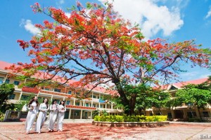 （示意圖源：互聯網） 