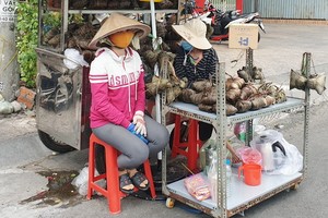 端午節肉粽上市