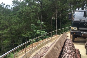 被查獲的物證。（圖源：阮義）