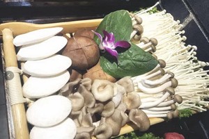 “菇類”降血壓、血脂，也能增強大腦！