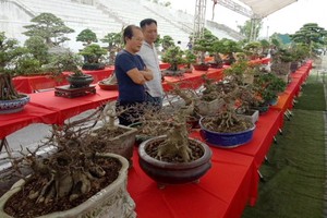 （示意圖源：互聯網）