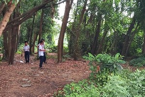 舊邑文化公園項目成為荒地一瞥。