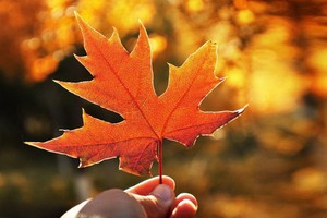 （示意圖源：互聯網）