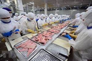 今年上半年農林水產領域同比增長。（圖源：越通社）