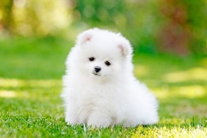 （示意圖源：互聯網） 