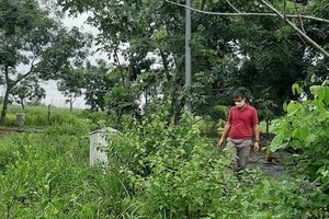 客戶於2004年買地，但至今仍未能建房。