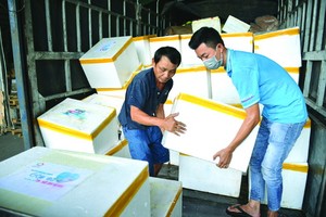 廣平省向本市捐贈３噸魚