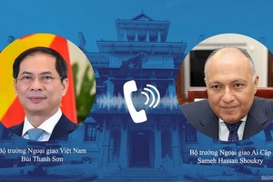 外交部長裴清山（左圖）與埃及外交部長薩邁赫‧哈桑‧舒凱里互通電話。（圖源：俊英）