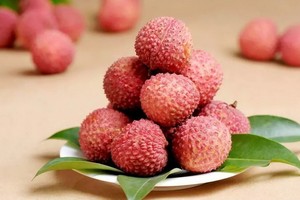 （示意圖源：互聯網） 