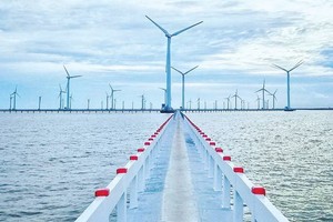 薄寮省沿海岸風力發電站一景。（圖源：投資報）