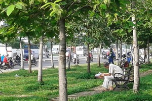 疫情前坐在公園閱讀書報是多麼的寫意，也是幸福的一種。