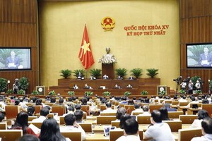 國會副主席阮德海調度會議。