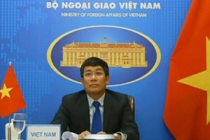 外交部副部長阮明宇。（圖源：明孝）