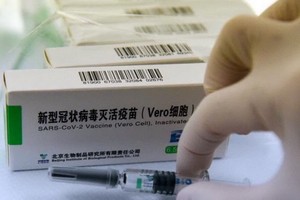 100萬劑Vero-Cell 新冠病毒疫苗已運抵越南。（圖源：互聯網）