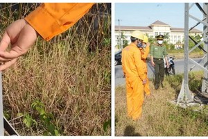 南東河工業區22千伏電線桿的許多支撐桿、螺絲被偷竊。 