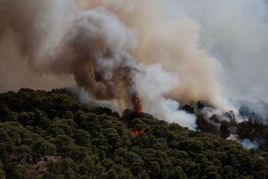 希腊阿哈伊亚林火持续蔓延 致16人入院治疗。（圖源：Global Times）
