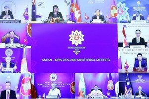 東盟-新西蘭外長會議以視頻方式舉行。（圖源：越通社）