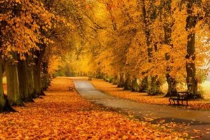 （示意圖源：互聯網） 