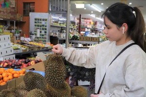Ri6 榴槤暢銷澳大利亞市場