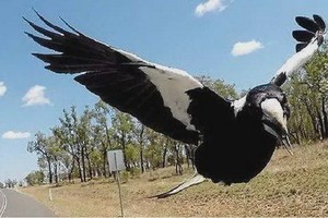 （示意圖源：互聯網） 