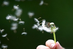 （示意圖源：互聯網） 