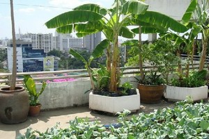 （示意圖源：互聯網） 