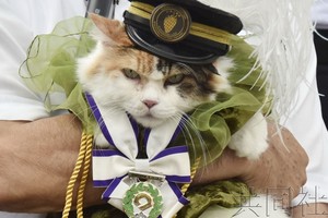 貓站長獲授予功勳爵稱號