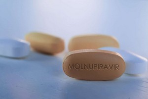 本市試行對居家治療者使用抗病毒藥物。（示意圖源：互聯網）