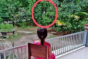 父女遠處相見的照片太感人了。