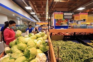 社交隔離期間，河內市民在 Co.opMart 超市選購農產品。 （圖源：越通社）