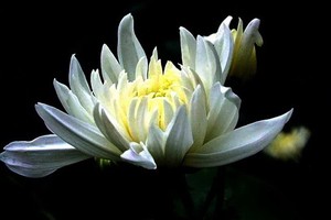 （示意圖源：互聯網） 