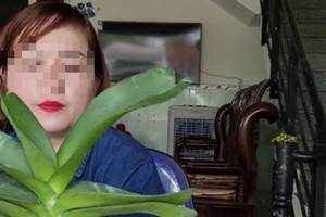 Đ.T.K.Th在臉譜社交網上以現場直播向網民推銷蘭花盆栽。（圖源：FB截圖） 