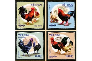 越南郵政發行“越南本土雞”郵票一套四枚。