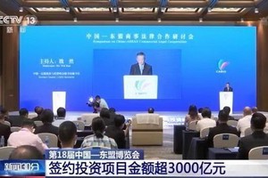 （圖源：CCTV 視頻截圖）