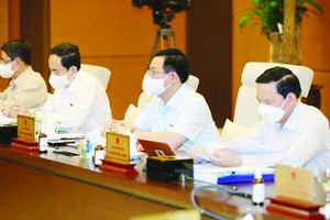 促進越南電影產業積極發展