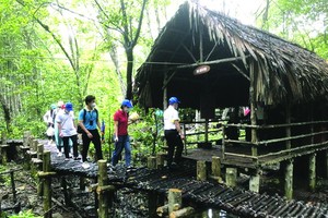 遊客參觀芹耶紅樹林。