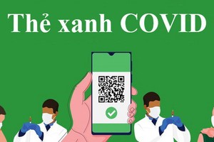 新冠綠卡。（示意圖源：雲兒）