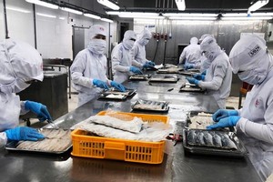 中山食品股份公司的食品加工廠於 8月21日復工復產，但產能比疫情前大幅下降了九成。（圖源：安芳）