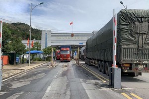 大貨車在諒山省芝麻口岸來回穿梭。（圖源：VOV）